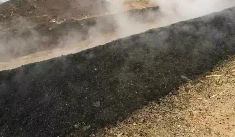 雞糞到底對(duì)于瓜果是毒藥還是寶？