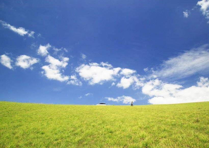 有機(jī)肥設(shè)備政府如何補(bǔ)貼