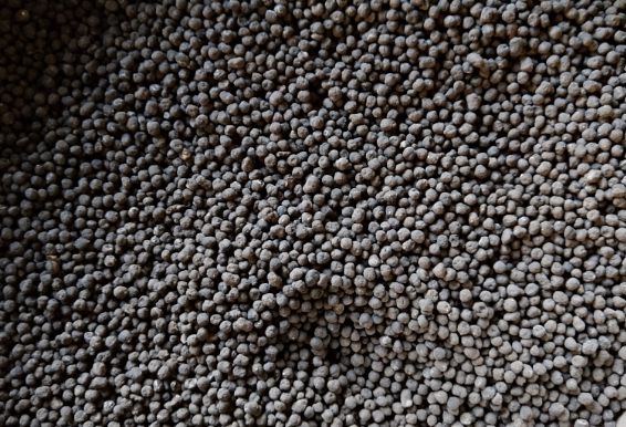 雞糞、豬糞、牛糞、羊糞哪種有機肥有什么區別？