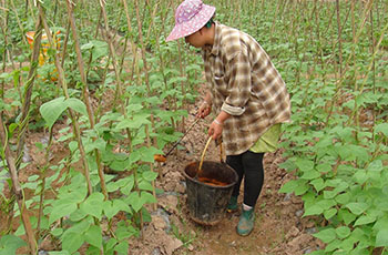 有機肥與化肥的區(qū)別